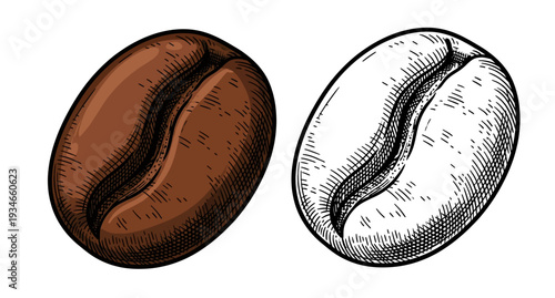 Side-by-side comparison of coffee beans showing brown smooth bean and black-white textured bean on plain white background, close-up view