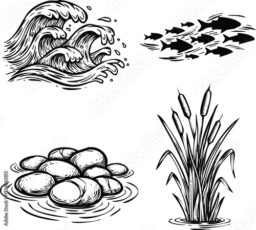 Vector Aquatic Elements: School of Fish Cattails Waves and Stones in Water
