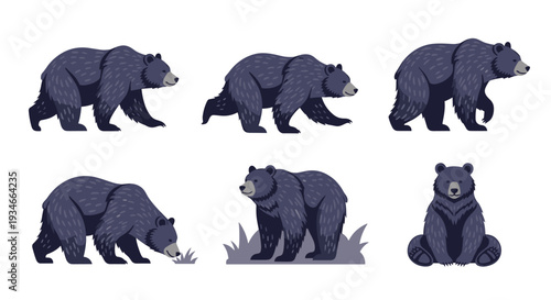 Six distinct illustrations of a dark gray bear are depicted in various dynamic and static poses against a clean, light gray background.