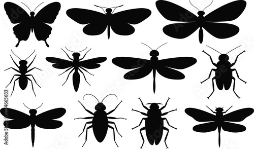 Collection of Butterfly, Dragonfly, Bee and Beetle Silhouettes Isolated on White Background, Detailed Flying Insect Set for Entomology, Wildlife and Pest Control Design
