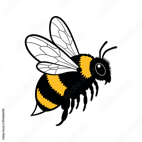 Black and Yellow Bee Illustration Side View.