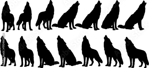 Silhouette of multiple wolves howling in various poses in black silhouette