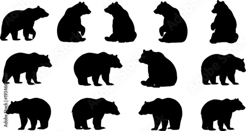 Silhouette of various bear poses and species in black on white background
