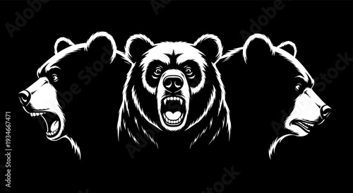Three bears head silhouette in black and white with aggressive central bear