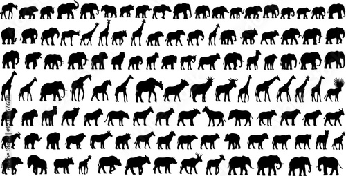 Silhouette of various giraffes and elephants in different poses