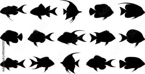 Collection of various fish silhouette profiles on white background