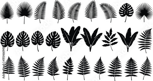 Collection of Tropical Leaf Silhouettes Featuring Monstera, Palm Fronds, Banana Leaves, and Ferns for Exotic Jungle Nature Design and Botanical Vector Graphics