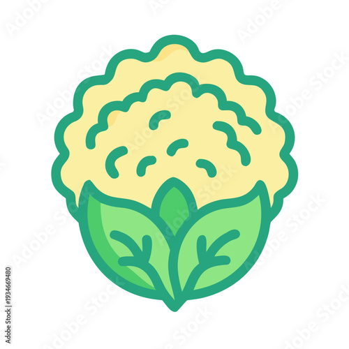 Stylized flat design illustration of a whole cauliflower with green leaves