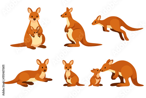 Six different kangaroo characters showcasing various poses and