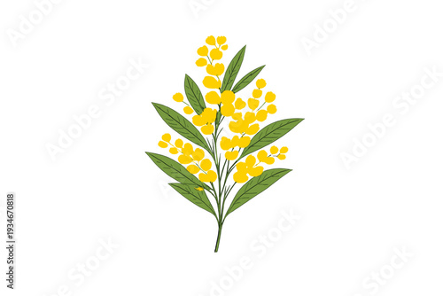 Yellow flowers with green leaves in a simple arrangement taken indoors