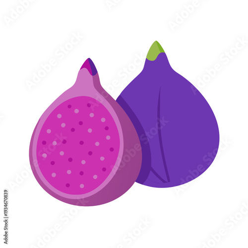 Pair of Flat Style Figs with a Black Background for Graphic Design