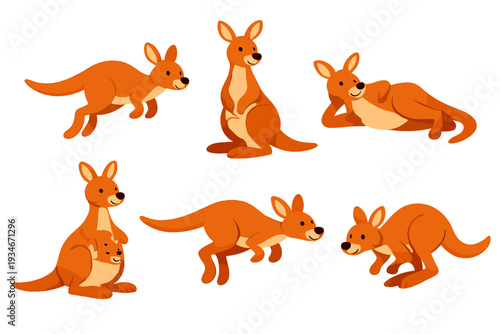Kangaroos in various poses enjoying their time in a sunny Australian