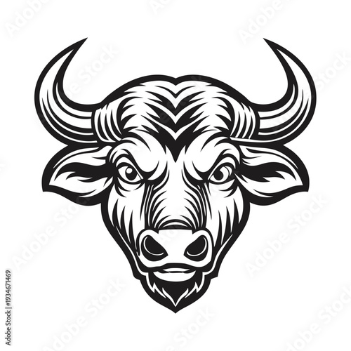 Intimidating black and white bull portrait displays fierce eyes and powerful horns clearly