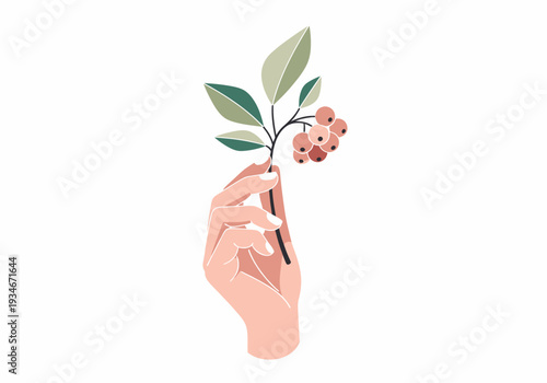Hand Holding Flowering Branch with Berries.