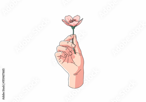 Hand Holding Delicate Pink Flower Illustration.