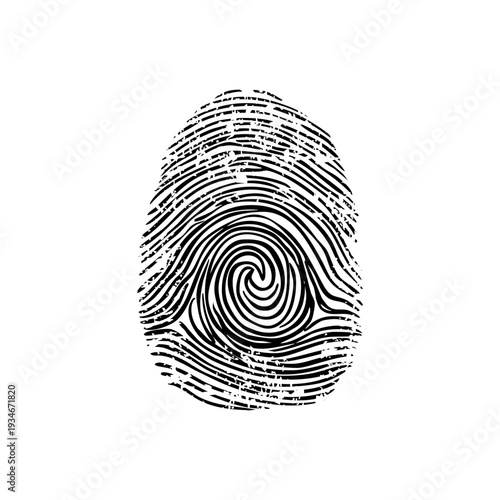 Hand drawn black and white fingerprint. Security, identity and biometric concept. Sketch isolated vector illustration