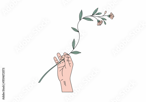 Hand Holding a Small Flowering Plant.