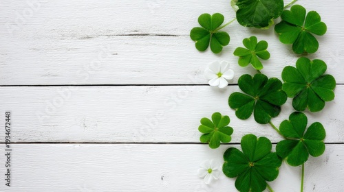Green clover leaves and small white flowers arranged on a white wooden background with copy space.