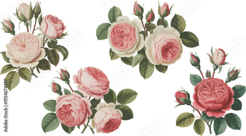 Pink Roses Bouquet with Green Leaves on White Background