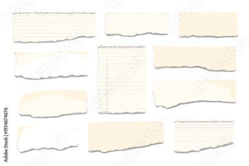 Different pieces of torn paper in various shapes placed on a flat