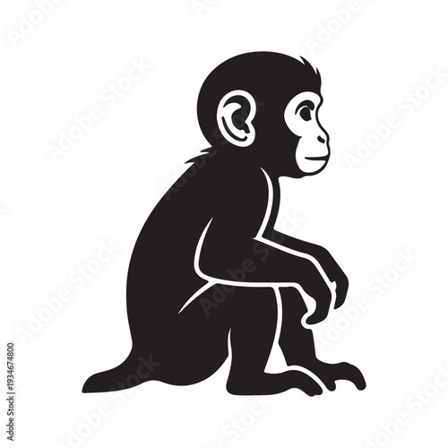 Baby monkey glyph icon. Tropical country animal, mammal. Exploring Indonesian islands wildlife. Cute primate sitting. Silhouette symbol. Negative space. Vector isolated illustration
