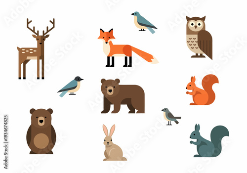 Collection of Various Forest Animals and Birds.