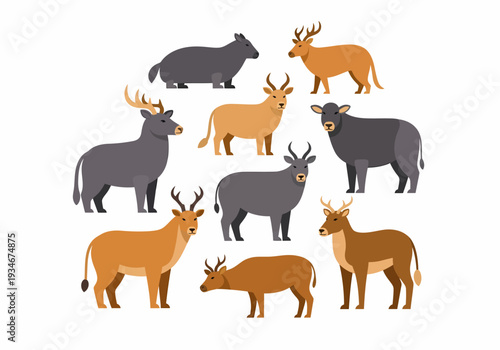 Group of Various Deer Species Illustration.