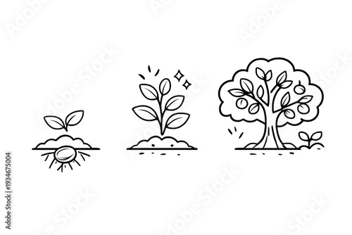 Growth from seed to tree showing stages of plant life in a simple