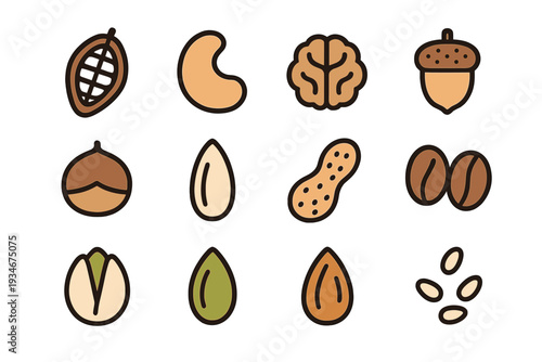 Various nuts and seeds arranged in a grid showing different shapes and