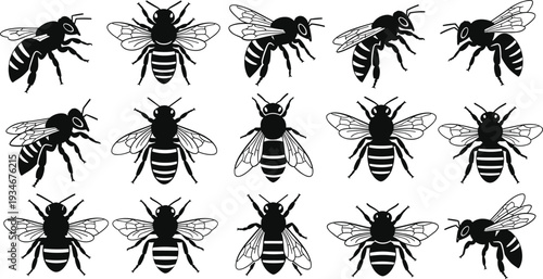 Set of Bee Silhouettes and Honeybee Vector Illustrations, Black Insect Icons for Nature Design, Garden Elements, and Honey Logo Branding, Isolated Flat Art