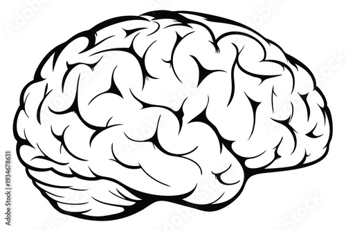 Monochrome depicts a human brain's convolutions in striking black lines against a stark white background
