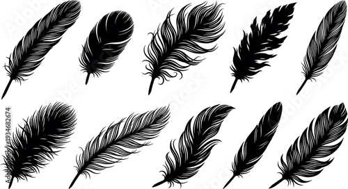 Vector Silhouette Set of Detailed Bird Feathers and Plumes Featuring Various Shapes and Textures for Decorative Arts Fashion Design and Creative Wing Elements.