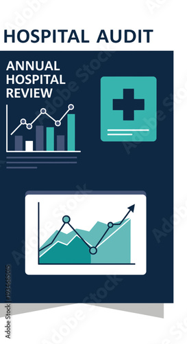 Comprehensive Hospital Audit Analysis Illustrating Financial Performance and Healthcare Metrics