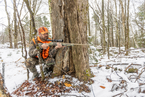 Man hunting deer in the woods and forest with rifle and wearing camouflage and safety orange in the early winter with fresh snow on the ground. 