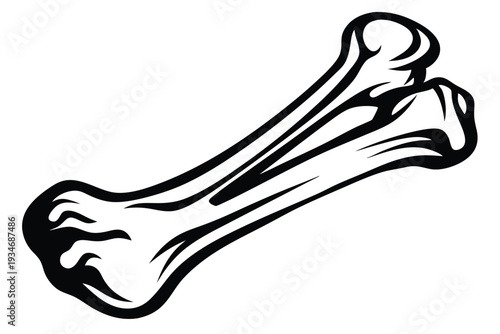 A single bone is seen with detailed and elaborate line work in black