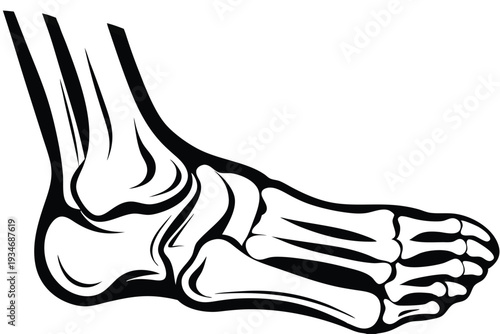 An anatomical foot bones structure is seen in a stylized black and white outline