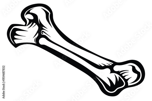 Knee joint bones are illustrated in monochrome, depicting anatomy and human health