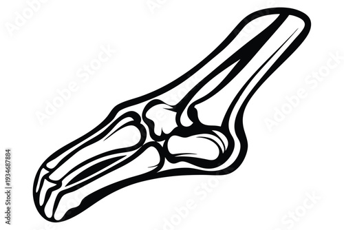 Detailed monochrome bone anatomy shows symmetrical structure with stylized radiating lines surrounding the top and bottom