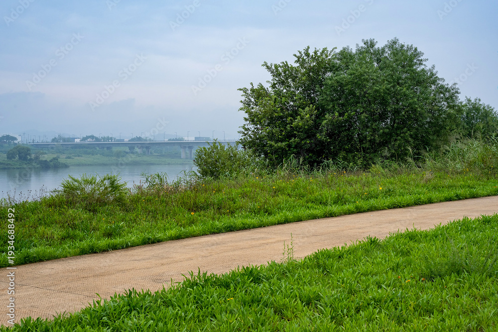 Fototapeta premium Quiet riverside walking path with green trees and bridge in foggy morning