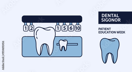 Dental Diagram Illustrating Tooth Structure, Patient Education Week, and Sigonor Presentation