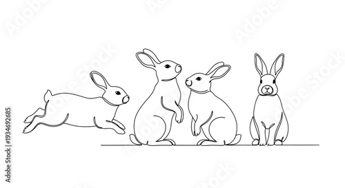 Four rabbits are shown in various poses for a drawing guide.