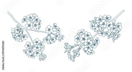 Delicate floral wreath illustration with blue flowers and leaves.