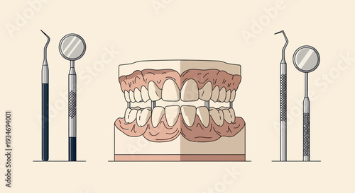 Dental Examination Tools Beside Jaw Model Depicting Oral Health and Modern Dentistry