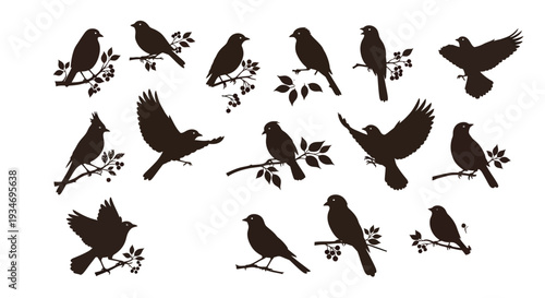 Collection of various bird silhouettes perched upon.