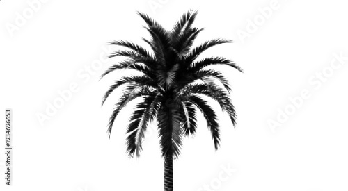 Vector Halftone Tropical Palm Tree Silhouette Illustration
