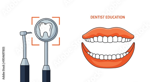 Dental Illustration Presenting Healthcare and Hygiene Concept for Dentist Education