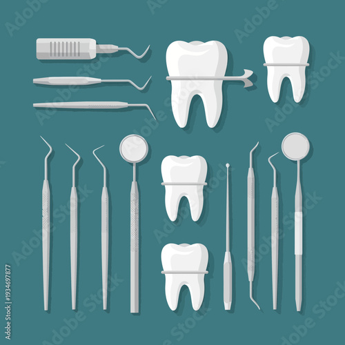 Dental Instrument Array Depicting Oral Hygiene And Tooth Anatomy For Healthy Smiles