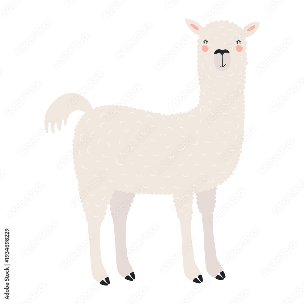 Fototapeta premium Cute llama alpaca illustration isolated on transparent background. Kawaii cartoon character. Wild animal, South American wildlife. Hand drawn flat vector. Kid design element, clip art, print, wall art