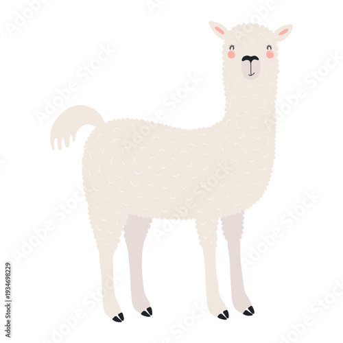 Cute llama alpaca illustration isolated on transparent background. Kawaii cartoon character. Wild animal, South American wildlife. Hand drawn flat vector. Kid design element, clip art, print, wall art