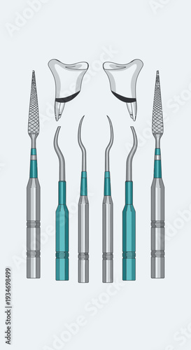 Dental Instruments And Teeth Illustrations: Clean And Professional Medical Imagery For Healthcare